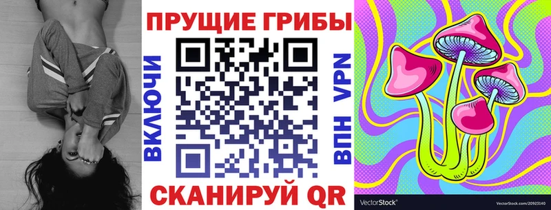 Галлюциногенные грибы Cubensis  где найти наркотики  blacksprut ССЫЛКА  Минусинск 